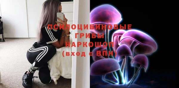 прущая мука Богданович