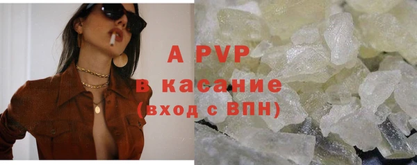 скорость Каменка